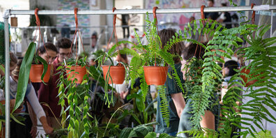 Das Pflanzenfestival Botanica kommt nach Zürich.