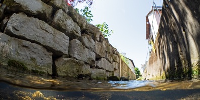 Am Saubach entlang der Konstanzerstrasse wurde der Kanal im Jahr 2016 ökologisch aufgewertet und hochwassersicher gemacht. 