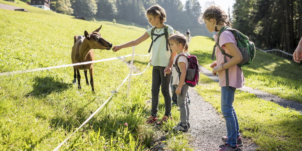 Der Themen- und Erlebnisweg Geissä Wäg auf Sattel-Hochstuckli wurde mit einem Innovationsförderbeitrag unterstützt. 