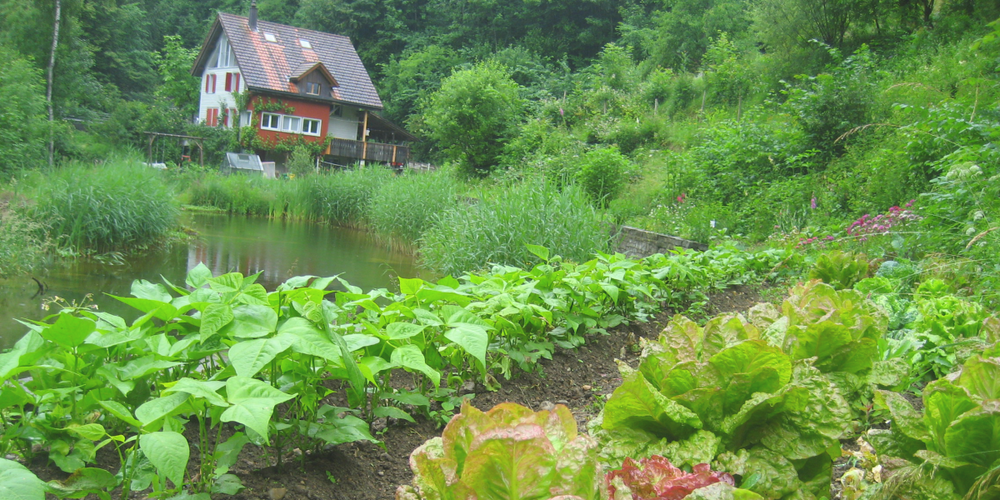 Wann immer das Wetter es zulässt, werden die Kursinhalte draussen im Garten praktisch angewendet.