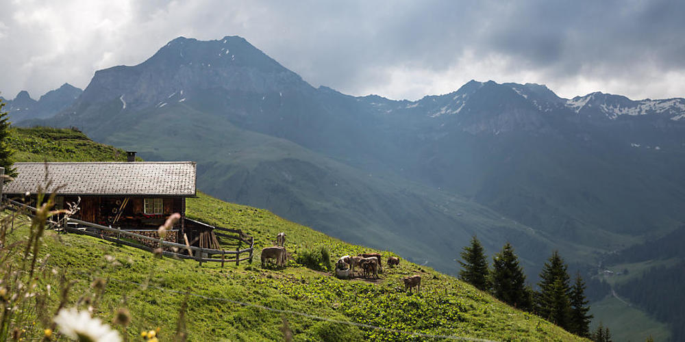 Die Eigentumsverhältnisse von Alpgebäuden führten im Toggenburg zu heftigen Diskussionen. (Symbolbild)