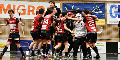 Geschafft: Der UHC Sarganserland feiert den Einzug in die Play-off-Viertelfinals.