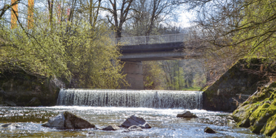 Diese 1,5 Meter hohe Betonsperre unterhalb der Verbindung Niederuzwil-Buchental verunmöglicht es den Fischen, in die Glatt aufzusteigen.