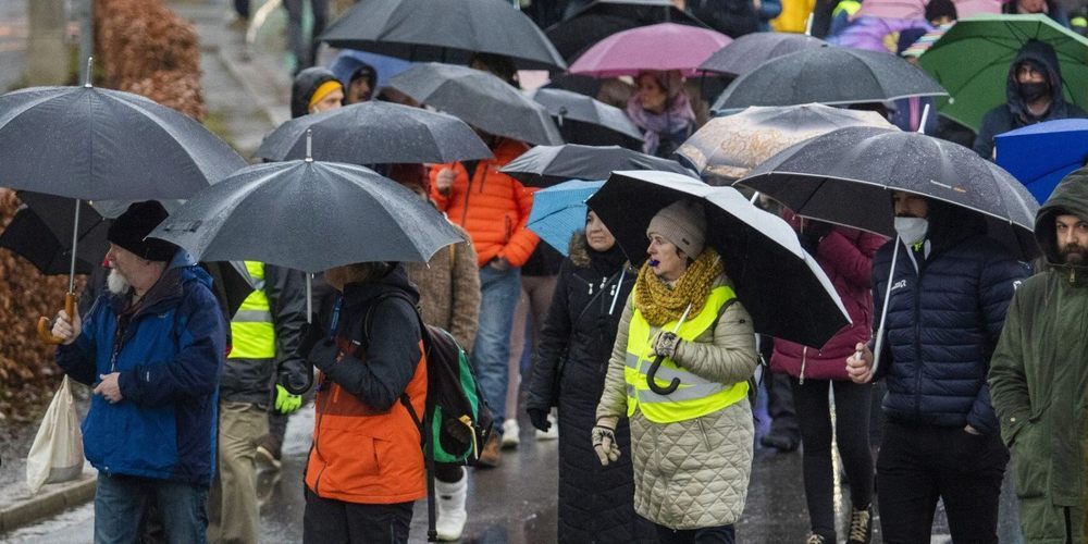 Immer wieder kommt es bei den Bregenzer Anti-Corona-Demos zu inakzeptablen Zwischenfällen