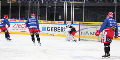 Die Lakers testen gegen Ambri und die SCL Tigers.