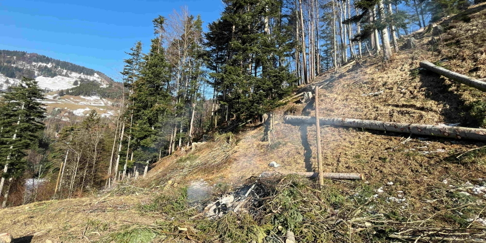 Unfallort in Libingen.