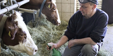 Reto Eisenhut verabreicht Gina das homöopathische Arzneimittel mit einem Spray auf die Nase. 