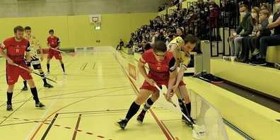 Gators vs. Vipers: ein Spiel mit viel Körpereinsatz