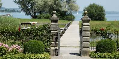 Alte und kranke Bäume im Seeburgpark werden gefällt.