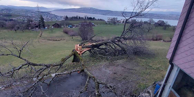 In Feusisberg hinterliess der Sturm seine Spuren.