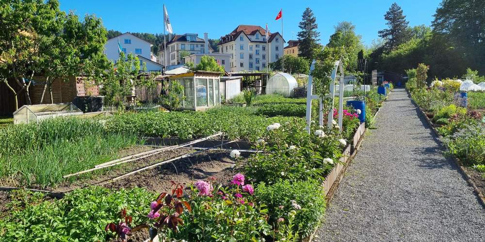 Der Gärtnerverein Blumenwiese liegt zwischen Blumenwiesweg und Martinsbruggstrasse