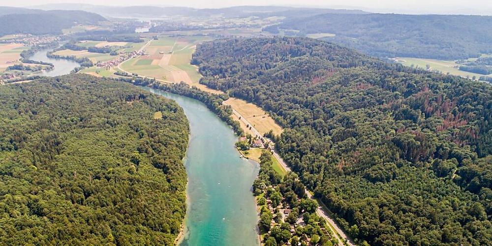 Der Rhein ist auf dem Abschnitt Camping Ziegelhütte/Läui-Schupfen unter anderem ein national bedeutender Lebensraum für die gefährdeten Äschen.
