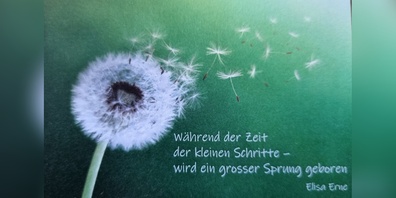 Ein bald 80-jähriger Mann entwarf das Bild und den Spruch für Carezo.
