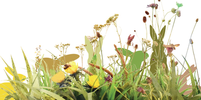 Auf Hasensuche ins Museum für Archäologie und Naturmuseum.