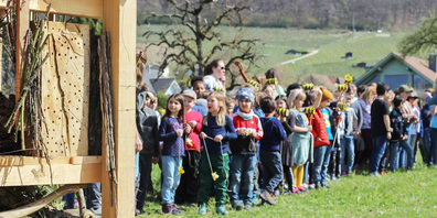 Bei strahlendem Sonnenschein konnte die Primarschule Löhningen, in Zusammenarbeit mit dem Regionalen Naturpark Schaffhausen, den Lebensturm aufstellen.