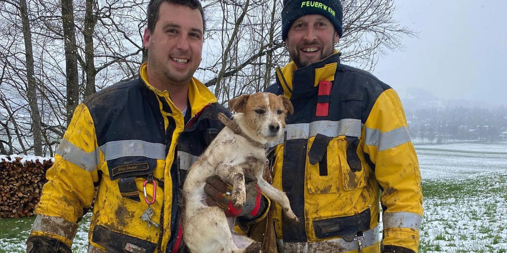 Der Vierbeiner wurde von den Dürntner Feuerwehrmännern aus dem Fuchsbau gerettet.