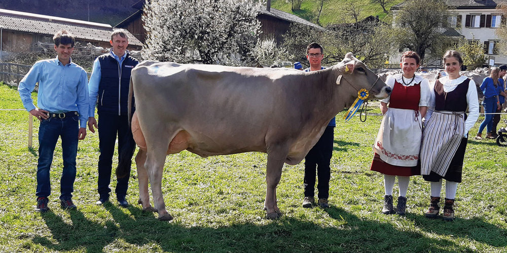 Die neue Miss Prättigau 2022 ARENA kommt aus dem Stall von Thomas Roffler aus Grüsch.