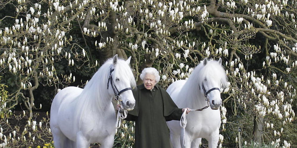 dpatopbilder - HANDOUT - Königin Elizabeth II. zwischen ihren Fellponys Bybeck Nightingale (r) und Bybeck Katie. Foto: Henrydallalphotography.Com/Royal Windsor Horse Show/PA Media/dpa - ACHTUNG: Nur zur redaktionellen Verwendung bis zum 31.05.2022...
