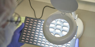 Ein Pfizer-Mitarbeiter in Freiburg untersucht Paxlovid-Tabletten.  (Pfizer via AP)
