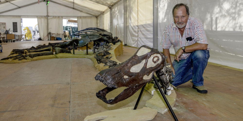 Direktor Hans-Jakob Siber mit dem Langhalssaurier Arapahoe.
