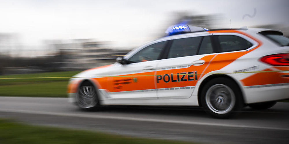 Die St. Galler Kantonspolizei musste am späten Samstagabend zu einem Stallbrand nach Unterlören ausrücken, wo mehrere Ferkel und Schweine verendeten. (Archivbild)