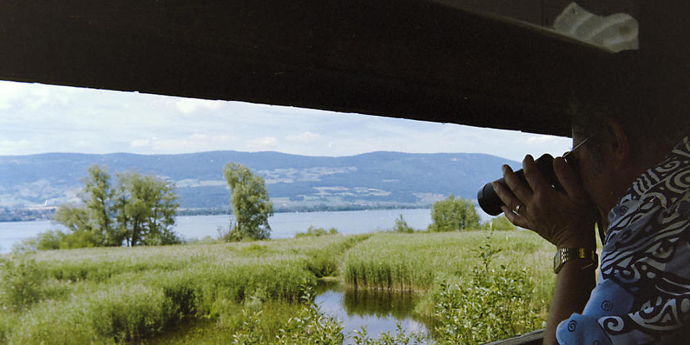 Zu wenig im Fokus des Bundes, findet Birdlife Schweiz: der Schutz der Artenvielfalt und die Biodiversität in der Schweiz. Im Bild: Ausblick auf die Grande Cariçaie in der Region von Yverdon-les-Bains VD am Südufer des Neuenburgersees. (Archivbild)