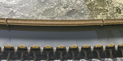 Das Wasser eines Swimmingpools muss grundsätzlich zu einer Abwasserreinigsungsanlage geleitet werden - im Falle eines biologisch gereinigten Naturpools entfällt dies, sagt das Baurekursgericht. (Symbolbild)