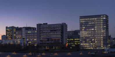 Gebäude auf dem Novartis Campus im Abendlicht in Basel, 2020. Laut Firmenchef Narasimhan bleibt Novartis der Stadt treu. (Archivbild)