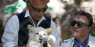 Siegfried Fischbacher und Roy Horn stellen 2014 der Öffentlichkeit ein weisses Löwenbaby vor.