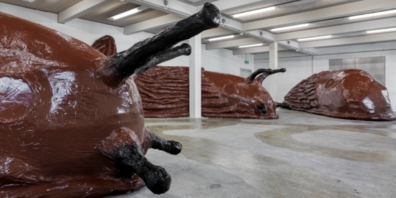 Ausstellungsansicht Jürg Zürcher