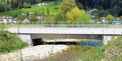 Auflandungen und Geschiebe beim grössten Nebenbach der Thur, dem Rickenbach, haben durch die Verbreiterung innert rund zwei Jahren dazu geführt, dass die Durchlasshöhe der neu gebauten SOB-Brücke auf weniger als 1.20 Meter geschrumpft ist.