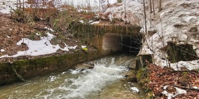 Beim Durchlass des Attenbachs bei der Ernetschwilerstrasse wurden Schäden festgestellt.