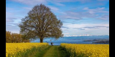 Sommertournee der Internationalen Bodensee-Konferenz gastiert in Kreuzlingen.