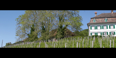 Die Pensionskasse Thurgau gewährt Hypotheken an ihre Mitglieder zur Finanzierung von Wohneigentum.