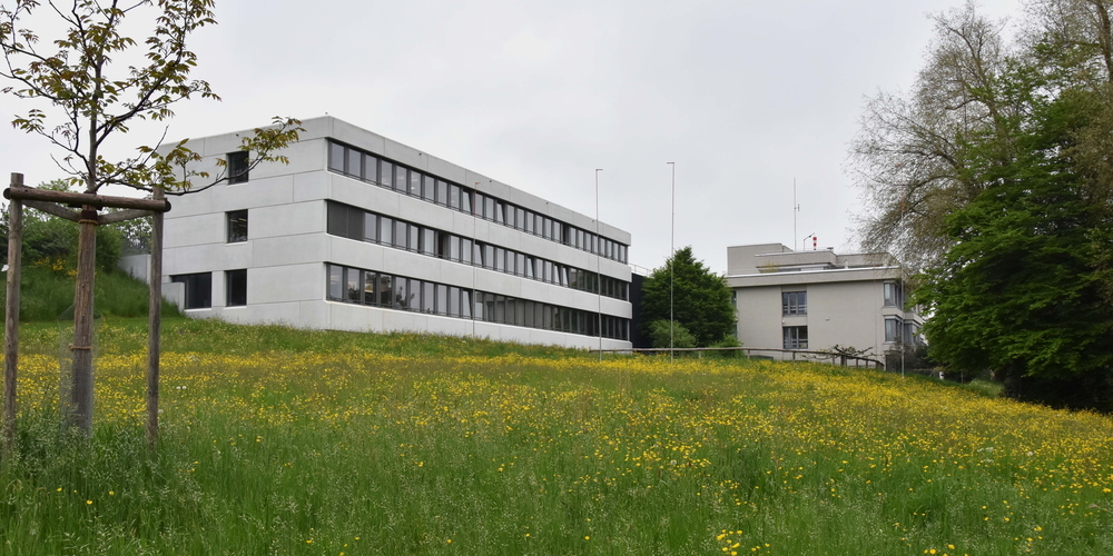 Der Erweiterungsbau des Spitals Wil wird parallel zum Verwaltungstrakt (links) gebaut und wird über das bestehende Spitalgebäude (rechts) erschlossen.