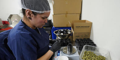 Wie in Basel soll auch das Pilotprojekt für den kontrollierten Cannabis-Verkauf in Lausanne wissenschaftlich begleitet werden. (Symbolbild)