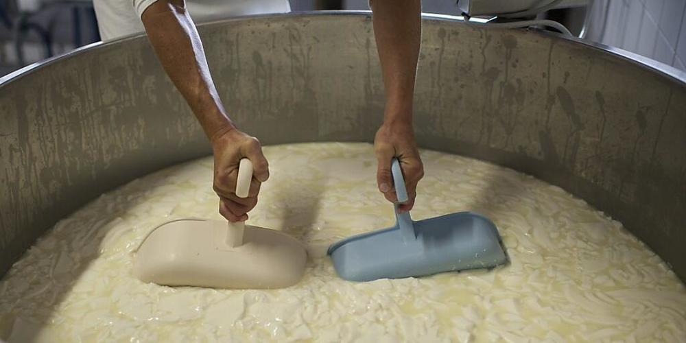 Die Schweizer Bevölkerung isst mehr Käse, insbesondere Halbhartkäse wird immer beliebter: Produktion von Halbhartkäse auf einer Schweizer Alp. (Archivbild)