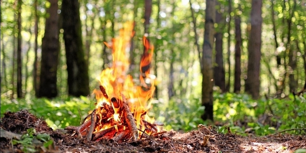 Die Mahnung zu sorgfältigem Umgang mit Feuer im Wald und in Waldesnähe/im Freien ist laut Kanton per sofort aufgehoben. (Symbolbild)