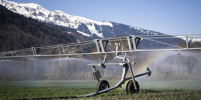 Eine Bewässerungsanlage auf einem trockenen Feld am Freitag in Bad Ragaz. Der März dürfte ausserordentlich trocken ausfallen. In mehreren Regionen des Kantons St. Gallen herrscht grosse Waldbrandgefahr.