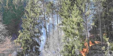 Der Waldbrand bei Trin GR breitete sich auf der Fläche einer Hektare aus.