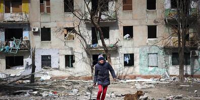 dpatopbilder - Ein Mann geht in Mariupol mit seinem Hund in der Nähe eines Wohnhauses entlang, das durch Beschuss beschädigt wurde. Foto: Alexei Alexandrov/AP/dpa