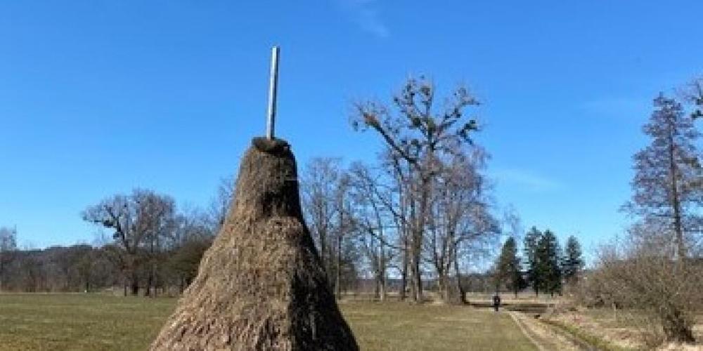 Ein rund 500 Meter langes Teilstück der geplanten Verbindungsstrasse A15-Gaster tangiert am Rande das Naturschutzgebiet Kaltbrunner Riet.