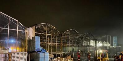 Hoher Sachschaden ist bei einem Brand in mehreren Gewächshäusern in Schwerzenbach ZH entstanden. (Bild: Kantonspolizei Zürich)