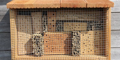 Die Umweltfreisinnigen sagen ja zur Biodiversität, aber nein zur Initiative. 