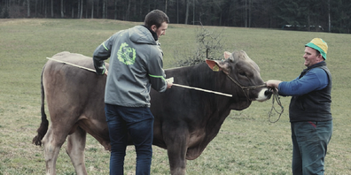 Spitzenschwinger und Lokalmatador Damian Ott besucht "Camino", den Muni für den Sieger, und holt sich Unterstützung bei den Hauptsponsoren des St.Galler Kantonalschwingfest vom 29. Mai in Wil.