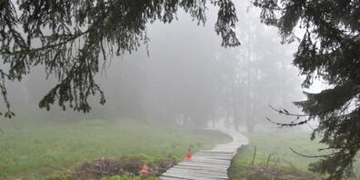 Die Downhill-Strecke, auf welcher der Unfall passierte, war gesperrt.