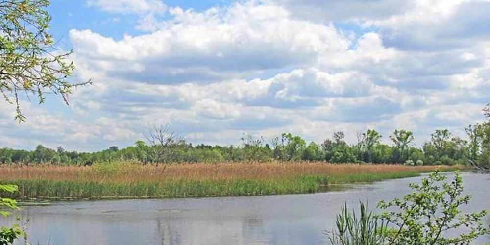 Die Schweiz hat der Berner Konvention 37 Schutzgebiete gemeldet, die dadurch aber keinen zusätzlichen Schutz haben.