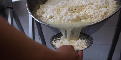 In Milchprodukten wie Mozzarella finden sich manchmal Listeriose-Erreger. (Symbolbild)