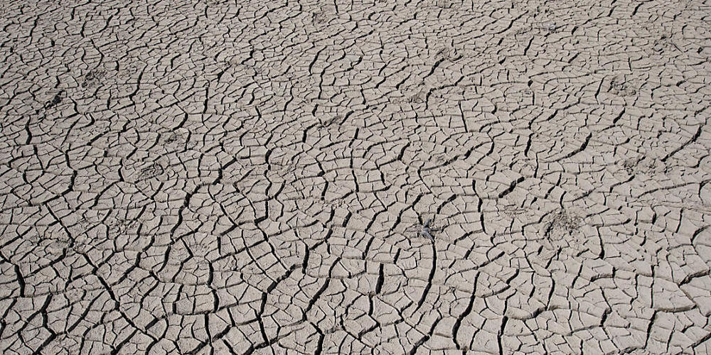 Auf die Natur basierende Lösungen könnten laut WWF verhindern, dass es in der Landwirtschaft zu Dürren kommt. (Symbolbild)