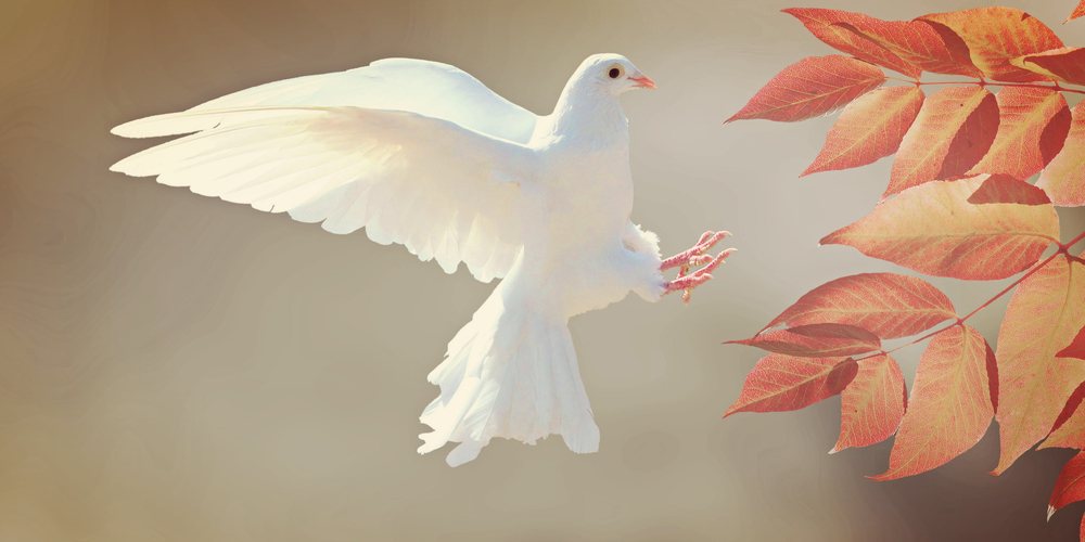 In der Bibel wird der Heilige Geist als Wind beschrieben. Viele verwenden an Pfingsten auch die weisse Taube als Symbol.